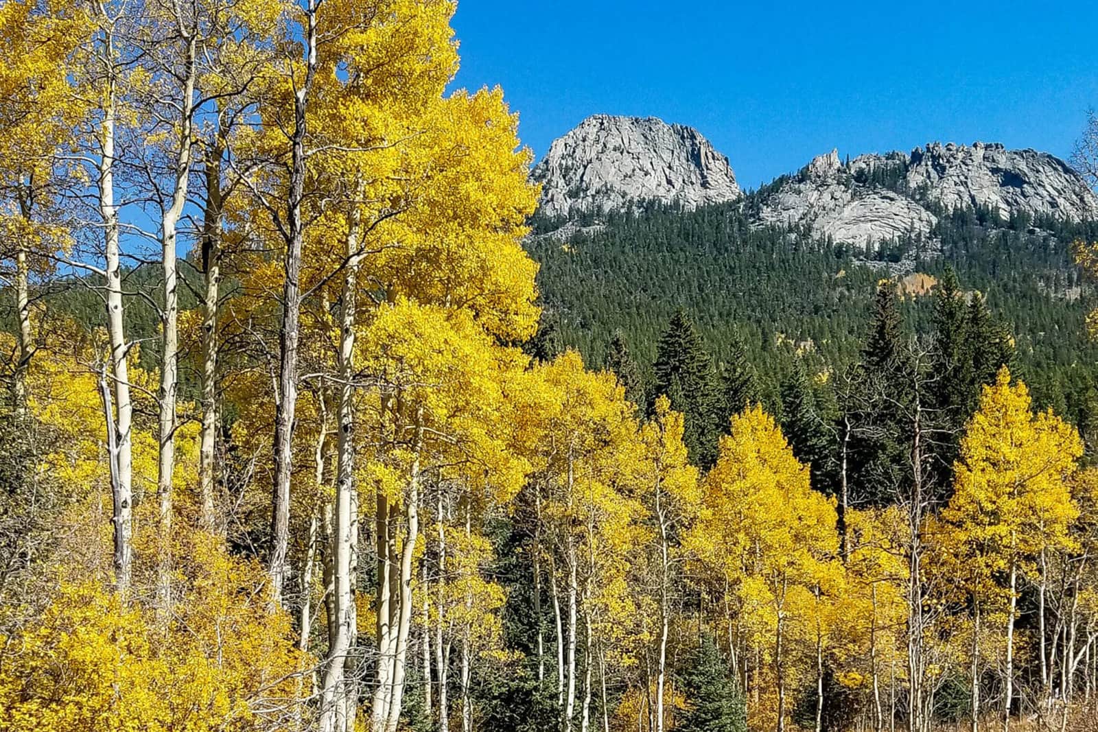 Fall colors near Central City